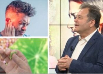 Ylli Merja, Veshi i mesem