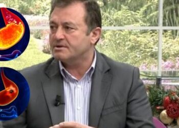 Ylli Merja, Gastriti, Ulcera