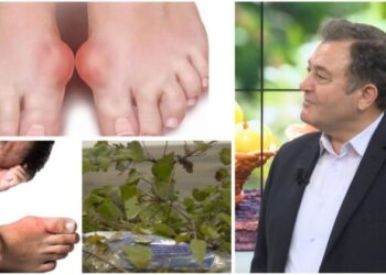 Ylli Merja, Semundja e Meshkujve