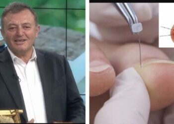 Ylli Merja, Thonjte ne Mish