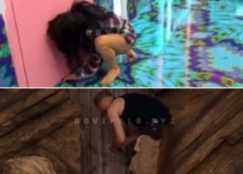 Egli Tako, BBV4, Gjesti