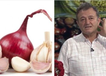 Ylli Merja, Hudhra, Qepa