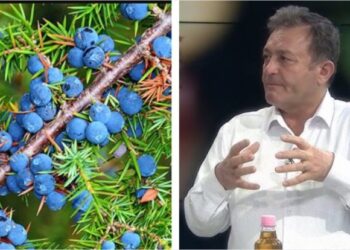 Ylli Merja, Dellinja