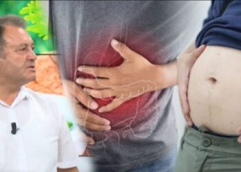 Ylli Merja, Fryerja e Barkut