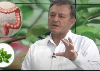 Ylli Merja, Zorra e Trashe