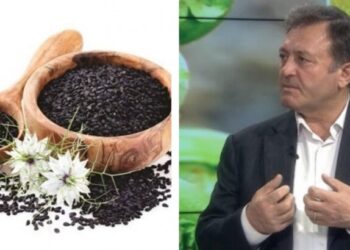 Ylli Merja, Fara e Zeze