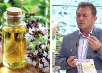 Ylli Merja, Vaji i Rigonit