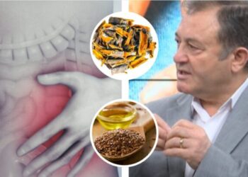 Ylli Merja, Zorra e Trashe