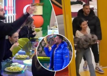 Gjesti, Xumi, Xheneta, BBV4,a