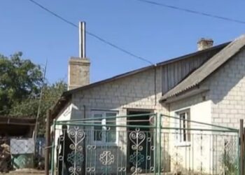 Detajet H0RROR/ Gruaja i pr*u org*net gjenitale burrit dhe ua hedh qenve, kokën e tij e vendosi në një…