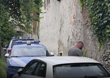 Ngjarje si në filma/ Po lëvizte makinën mbrapsht në oborr, babai shtyp për vd*kje vajzën e tij 2-vjeçe (Detaje)