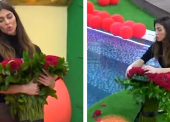 Loredana, BBV4, Jozi