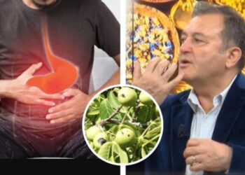 Vuani nga ulcera ne stomak? Mjeku i njohur Ylli Merja jep zgjidhjen nepermjet bimeve mjekesore: Shpeshherë na ndodh që barku të rrijë…