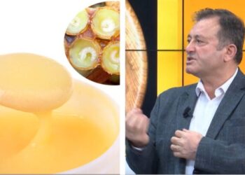 Ylli Merja, Qumeshti i Bletes