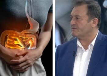 Ylli Merja, Zorra e Trashe