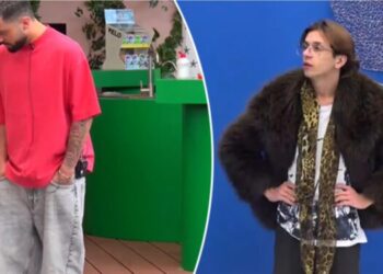 Gjesti, BBV4, Vserlo