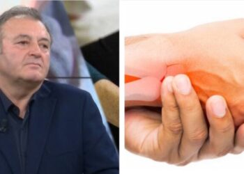 Ylli Merja, Vaji i Kermillit