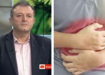 Ylli Merja, Guret ne Temth