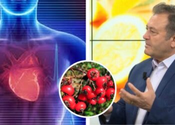 Ylli Merja, Aritmia e Zemres