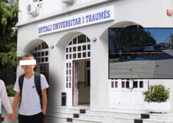 ‘Dua të takoj shokët e mi, makina na mori përpara…’ Drithëruese! 8 vjecari që pa vd*kjen me sy flet për herë të parë!
