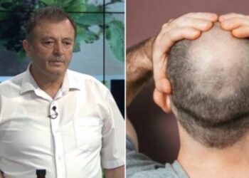 Ylli Merja, Tullacet