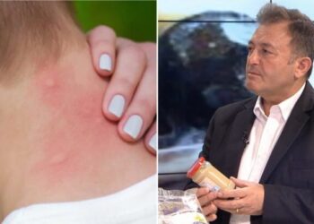 Ylli Merja, Pickimet e insekteve