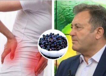 Ylli Merja, Infeksioni i Veshkave