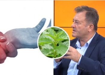 Ylli Merja, Dhimbja e Kyceve