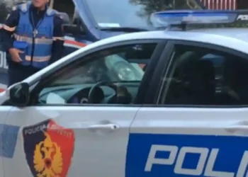 Burri nga Lushnja hyn në banesën e një gruaje dhe tenton të kryejë marrëdhënie me të