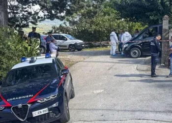 Thellohet tragjedia! Vr*a gruan me gurë, 58 vjecari vr*t dhe djalin e mitur. PIagos rëndë vajzën