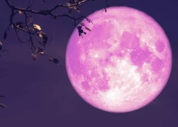 Si do të ndikojë sot “Hëna e Drerit” për këto shenja Horoskopi
