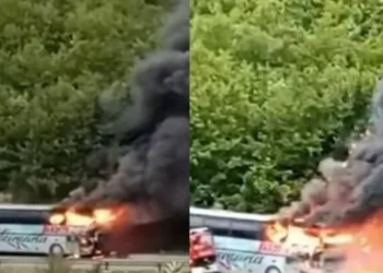 TRONDITESE! Autobusi plot me pasagjer shpërthen në flakë gjatë lëvizjes (Video)