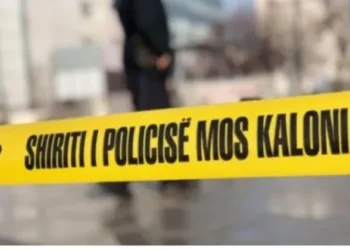 ‘Ejani se e vr*va’/ Dalin detaje të tmerrshme nga ngjarja në vend, ja cfarë paska ndodhur mes autorit dhe v*ktimës!