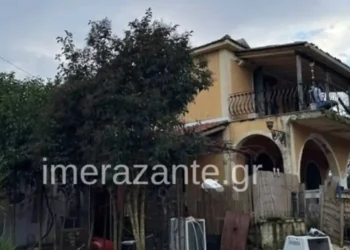 “Djali më pa në sy…”/ Qeni i familjes kafshoi për vd*kje të miturin shqiptar, babai: E kisha marrë nga rruga