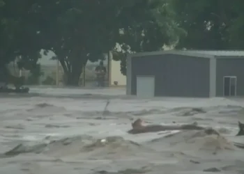 ‘Më falni, nuk ja dal dot…’ E dhimbshme, fjalët e fundit të babait hero që vd*q duke ndihmuar familjen e tij ne Teksas!