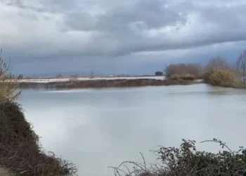 I FUNDIT/ Vjosa del nga shtrati, urdhër evakuimi për banorët në Fier….