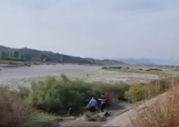 Dalin pamjet! Ja momenti kur policia e kap këmba-këmbës autorin e at*ntatit të ditës së sotme! (Video)