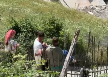 Cfarë po ndodh në Theth? Gruas i bie të fikët gjatë përplasjes me…