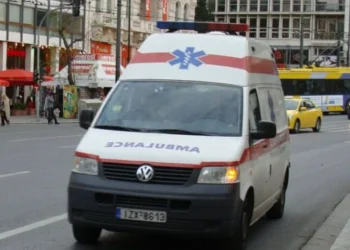 Ngjarje fatale! Shkeli gabimisht gazin teksa parkonte dhe përplasi për vd*kje nënën