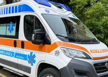 TRONDITESE! E mitura përplaset për VD*KJE në sy të të atit, rrugës për në shkollë