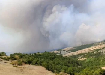 Përkeqësohet situata e zjarreve, flet banorja e tmerruar ‘Nuk na ka mbetur më asgjë, na u dogjën: shtëpi, bagëti e pasuri…’