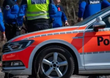 Tragjedi në Zvicër/ 4-vjeçari shqiptar përplaset nga furgoni, ndërron jetë në spital…