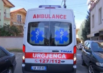 Ngjarje tragjike! Ra në kontakt me rrymën elektrike, humb jetën në lule të moshës 27 vjecari