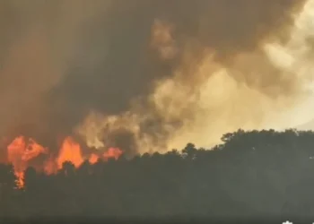 Rëndohet bilanci! 2 v*ktima nga zjarri në Elbasan, dhjetëra banesa të shkrumbuara dhe 6 fshatra të djegur plotësisht