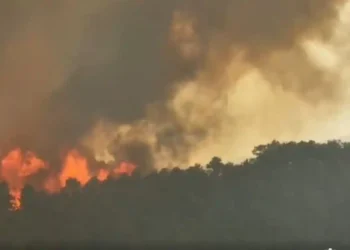 Dy v*ktima nga zjarri në Elbasan, dhjetëra banesa të shkrumbuara dhe 6 fshatra të djegur plotësisht
