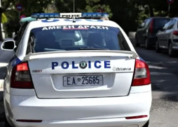 TRONDITËSE/ Shqiptari tenton t’i rrëmbejë gruas vajzën 4-vjeçare nga krahët, në mes të ditës