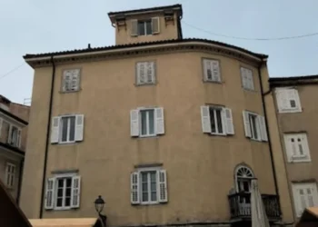 Kr*m h*rror! Nëna i merr jetën djalit të saj 9 vjecar, i pret fytin me th*kë