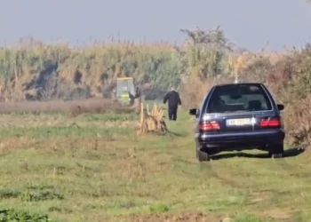 Ngjarje fatale! Po punonte tokën, humb jetën burri në vend
