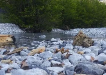 Tragjike në vend! Gjendet i p*jetë trupi i një burri në përrua, dyshohet se…