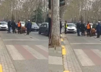 Aksident tragjik në mes të Tiranës! Autoboti me uji përplas për vd*kje një grua